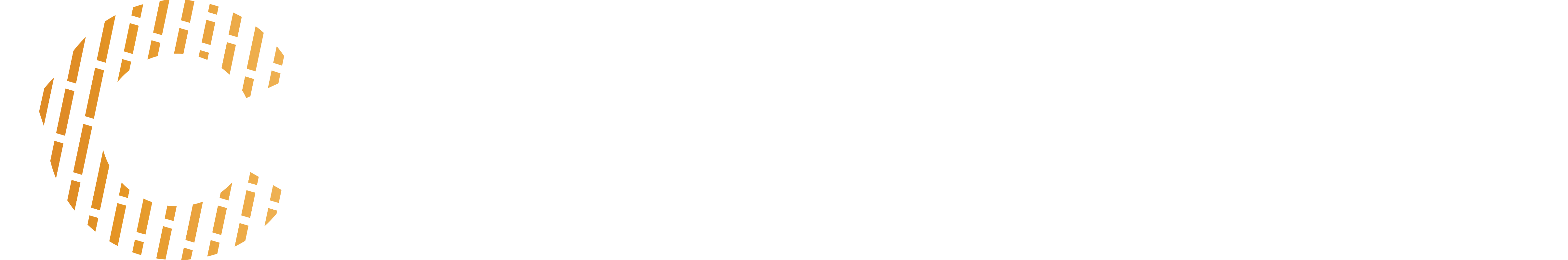 Cinewallcenter logo